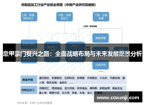 意甲豪门复兴之路：全面战略布局与未来发展愿景分析