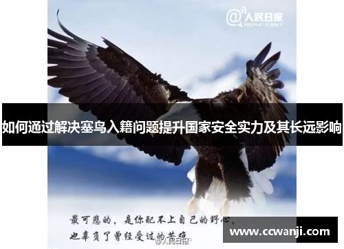 如何通过解决塞鸟入籍问题提升国家安全实力及其长远影响