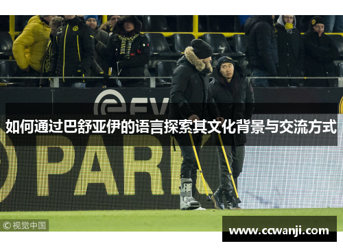 如何通过巴舒亚伊的语言探索其文化背景与交流方式